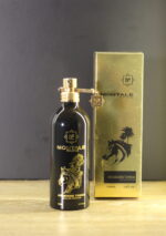 Arabians Tonka - Image 4